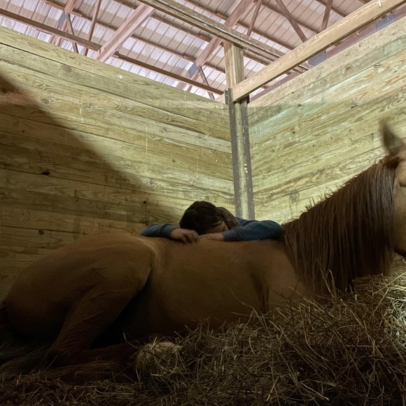 Meet your Posher, Kylee - Picture 1 of 1